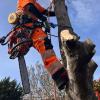 Solidur Ultralight Type C Hi Vis 4